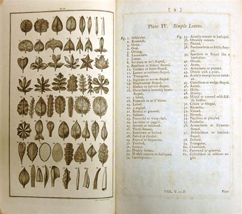 Cabinet 07 - Systema Naturae, Linnaeus, Prince of Botanists, Special Collections Exhibition ...