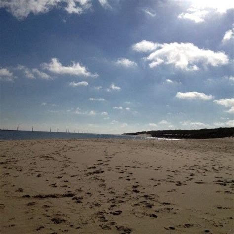 Dog walk at Sea Palling Beach · Norfolk · Walkiees