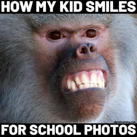 Funny Monkey Meme