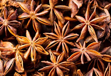 Star Anise Essential Oil | Tinderbox