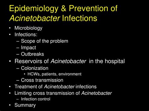 PPT - Acinetobacter Infections in a Hospital Setting PowerPoint ...