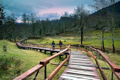 Pin de Joselyn Ojeda Berrios en Sur de Chile ♥️ | Huilo huilo, Paisaje ...