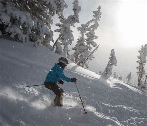 Ski Resorts near me: Alta Ski Area, Alta | Alta ski, Ski resort, Ski area