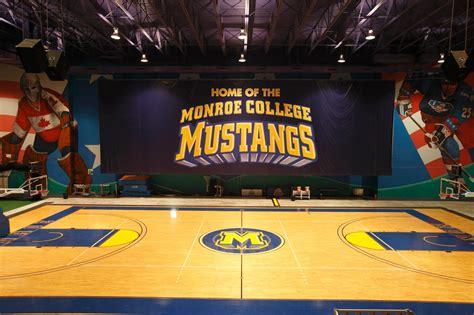 College Online: Monroe College Online