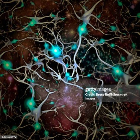 66 Brain Neurons Firing Stock Photos, High-Res Pictures, and Images ...