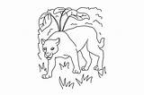 Panther Coloring Page SVG Cut  By Creative Fabrica Crafts sketch template