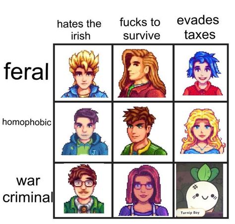 Stardew Valley Alignment Chart | Stardew valley, Stardew valley elliott ...