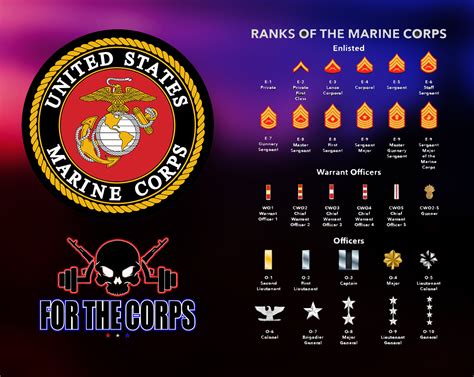 Usmc Ranks Usmc Ranks Marine Corps Ranks Marine Corps Rank Structure | Images and Photos finder