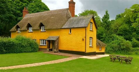 The best dog-friendly cottages in Devon - Devon Live