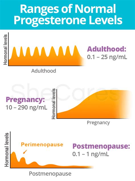 Progesterone Levels | SheCares