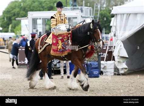 Drum Shire Horse Apollo at the Royal Windsor Horse Show 2023, performing with the Household ...