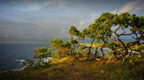 nature, landscape, trees, Dalarna, Sweden, river, clouds, sunset, rocks ...