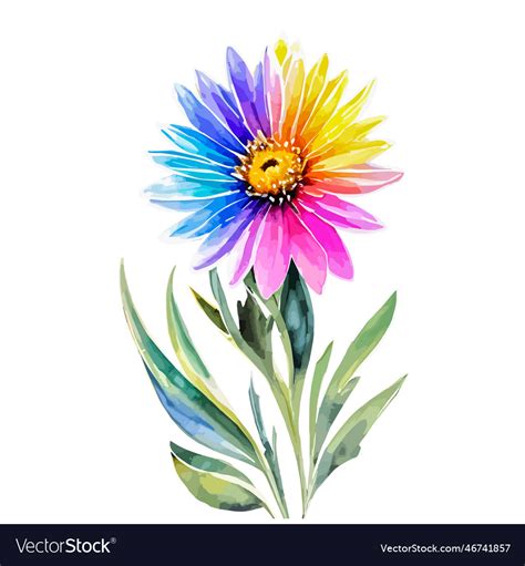 Watercolor rainbow colorful daisy hand painted Vector Image