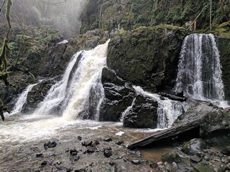 Little Mashel Falls - Pack Forest — Washington Trails Association