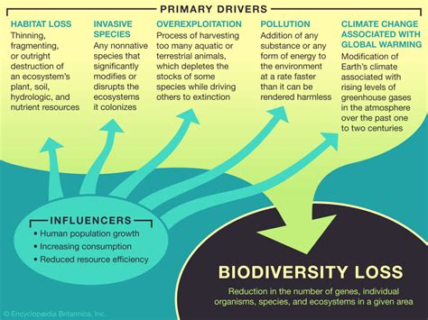 Learn about the causes of Biodiversity Loss - Student Center | Britannica.com