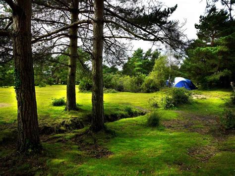 Roundhill Campsite, in Brockenhurst, England - In common with many of the other New Forest ...