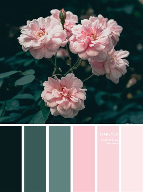 Green and pink color scheme | Color palette pink, Green colour palette, Pink color schemes