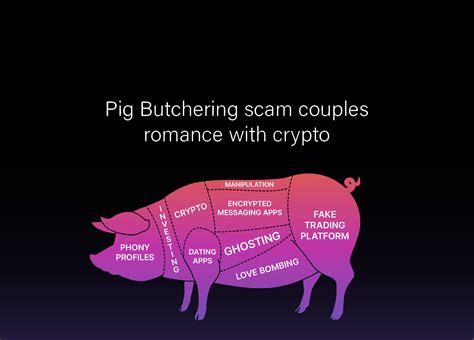 Pig butchering — RealTime Information Technology