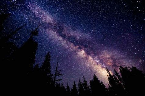 MIrando la noche. - Las Mejores Fotografías del Mundo