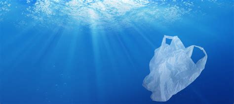 plastic-bag-ocean-pollution | Miasto 2077 - Green is Good