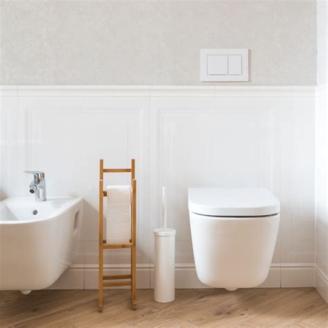 Upgrade Your Bathroom Design with a High Level Toilet - Let's Talk Toilets