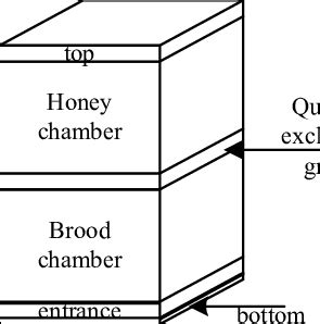 Schematic of a rational beehive | Download Scientific Diagram