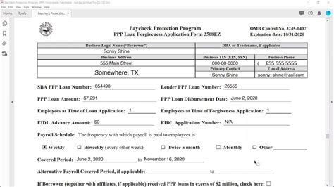 Paycheck Protection Program Forgiveness: IRS Form 3508 EZ - YouTube