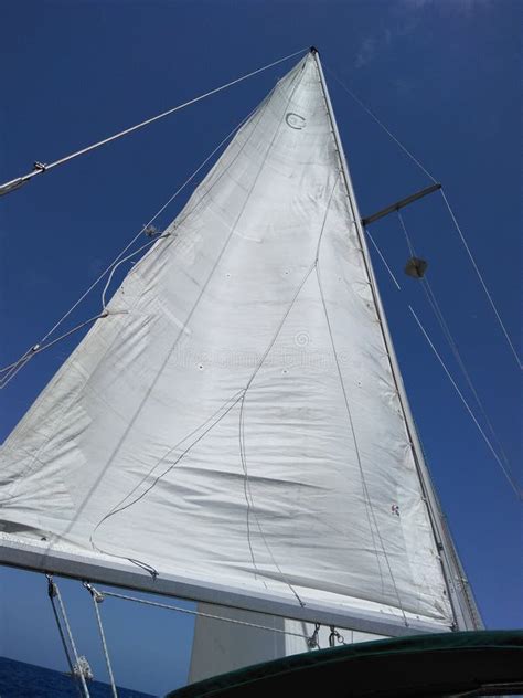 Sailing Catalina island stock photo. Image of blue, sailing - 119464132