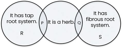 Refer to the given Venn diagram and select the correct option regarding P, Q, R and S.