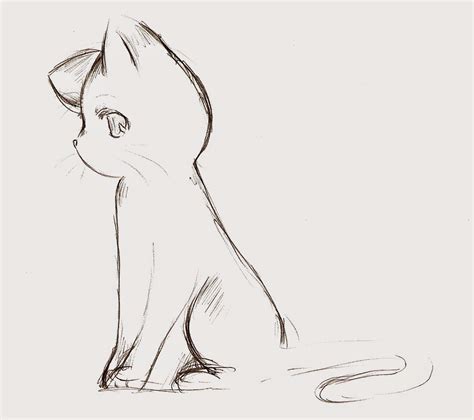 anime cat - Cartoon Anime | Cat sketch, Cat drawing, Cute anime cat