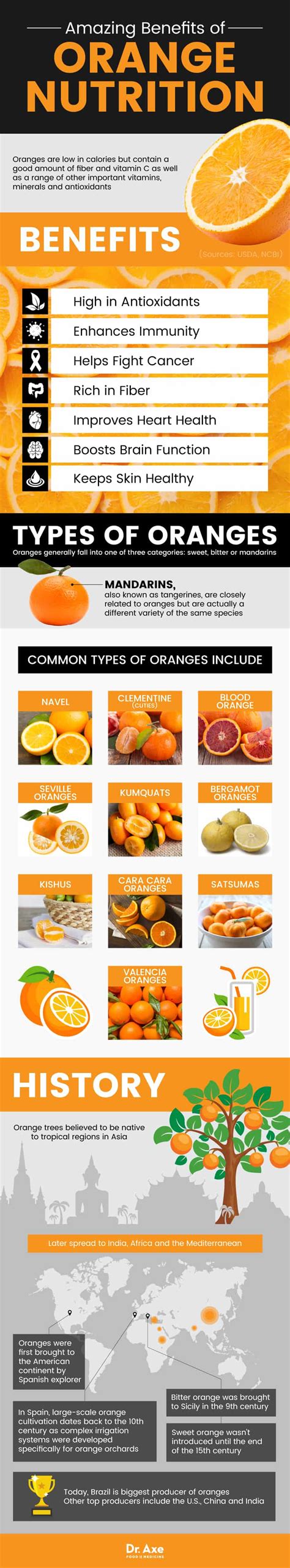 Orange Nutrition Benefits Skin, Immunity & More - Dr. Axe