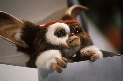 Gremlins Gizmo Wallpapers - Wallpaper Cave