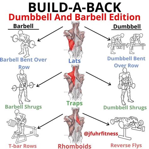 Fit Moral™ | Fitness on Instagram: “BUILD-A-BACK Dumbbell and Barbell ...