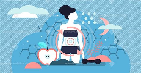 Metabolism concept vector illustration diagram, biochemical body cycle ...