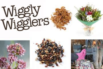 Wiggly Wigglers - Urbalive Composting, Bird Seed - Love Our Shops UK