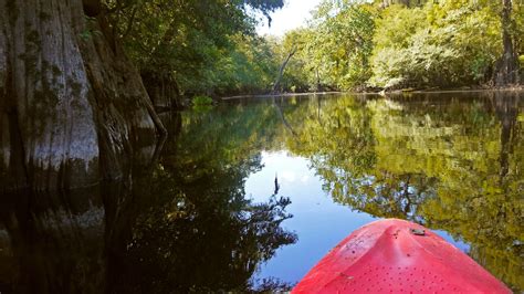 kayaking ebenezer creek swamp. 08/13/2016 | Swamp, Kayaking, Outdoor