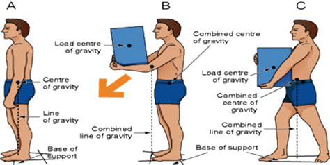 3.2 Body Mechanics – Clinical Procedures for Safer Patient Care