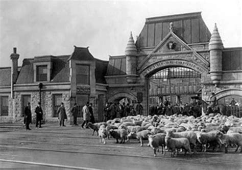 chicago stockyards 1905 | Chicago History | Pinterest | Chicago