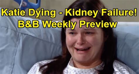 The Bold and the Beautiful Spoilers: Week of October 7 Preview - Katie ...