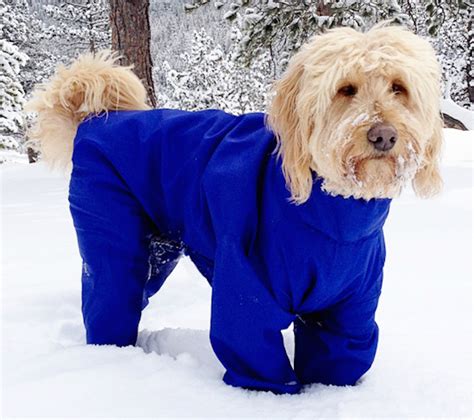 Keep your pup warm in a dog parka. Dog Snowsuit, Dog Suit, Snow Outfit, Dog Boots, Snow Dogs ...