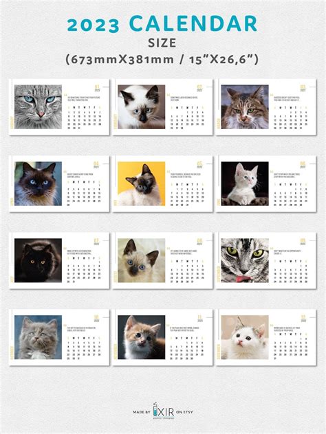 Kitten 2023 Calendar Wall Art Calendar Planner - Etsy