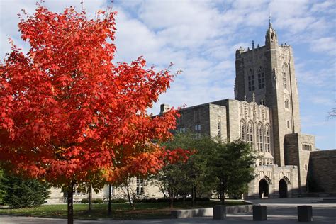 Random Wanderings: A Scholarly Fall Foliage Trip - Princeton