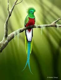 The Legend Of The Quetzal Bird – Clive PiG