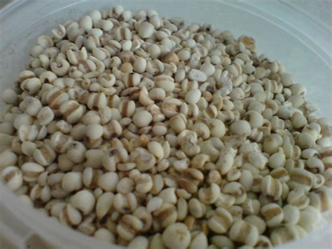 chinese pearl barley | Chinese pearl barley is actually not … | Flickr