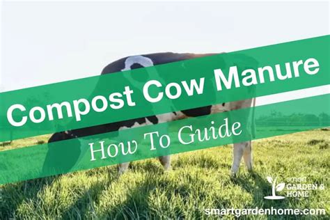 Composting Cow Manure: Fertilizer For Gardens - Smart Garden And Home