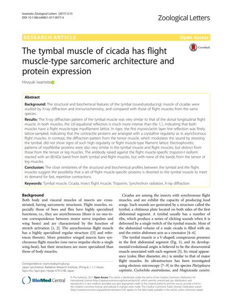 (PDF) The tymbal muscle of cicada has flight muscle-type sarcomeric … · 2017. 9. 1. · tymbal, a ...