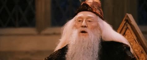 Dumbledore Harry Potter GIF - Dumbledore HarryPotter Wizard - Discover ...