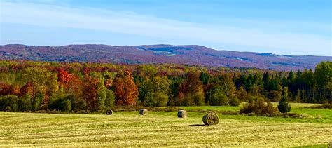 Fall foliage in the Northeast Kingdom - Barton Chronicle Newspaper