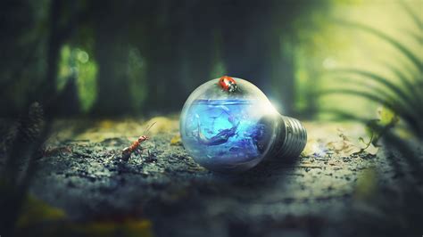 Light Bulb Nature Forest Ants Photoshop Wallpaper,HD Photography Wallpapers,4k Wallpapers,Images ...