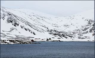 Hurtigruten Arctic Cruise_2849 | Dutch Simba | Flickr